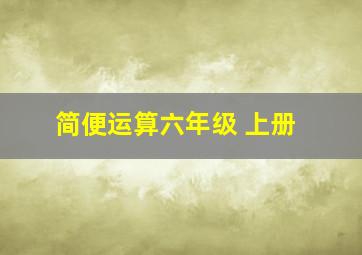 简便运算六年级 上册